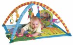 Toy - Activity Gym